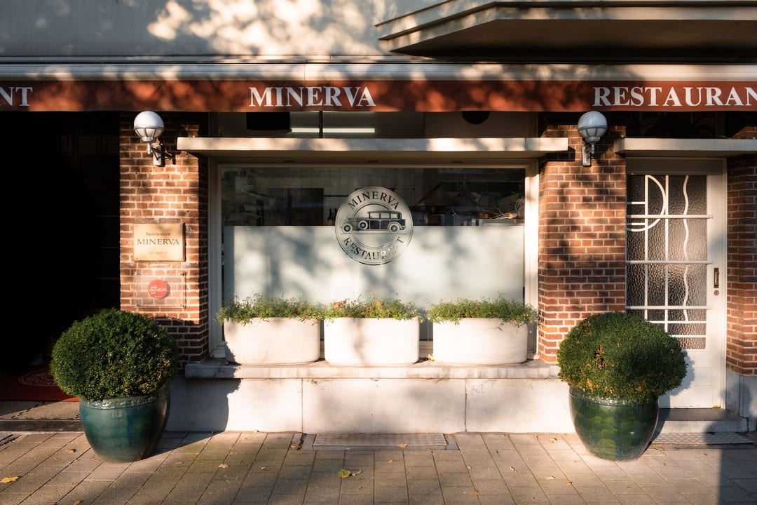 minera-header